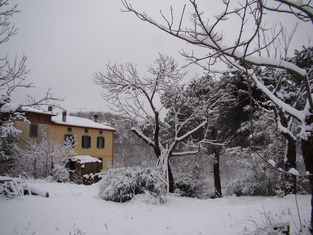 Borgo Tepolini Country House Castel del Piano  Exteriör bild