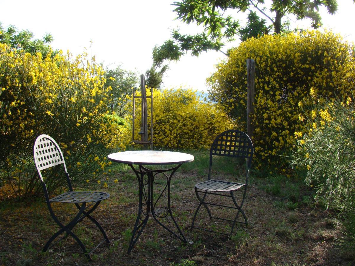 Borgo Tepolini Country House Castel del Piano  Exteriör bild