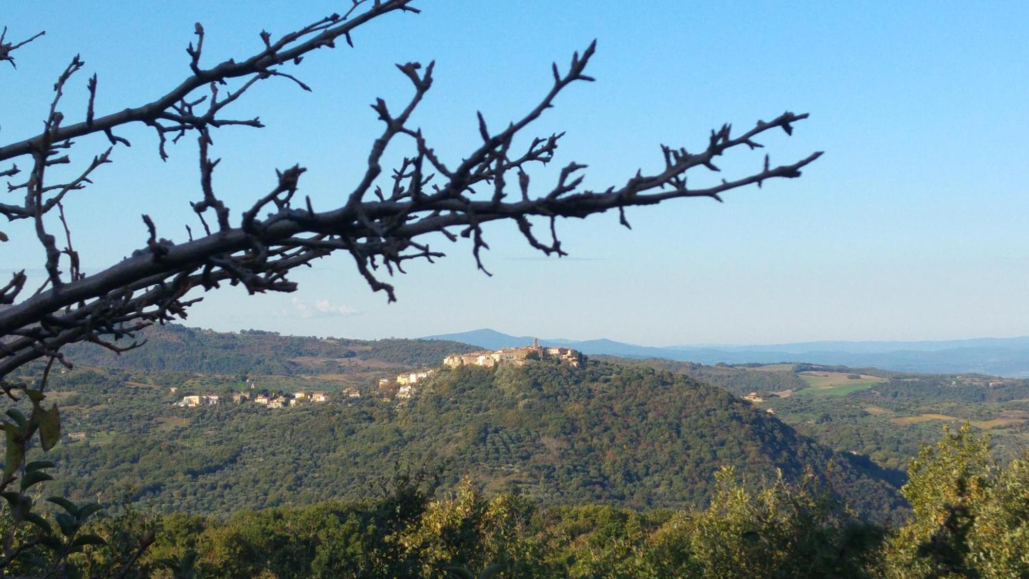 Borgo Tepolini Country House Castel del Piano  Exteriör bild